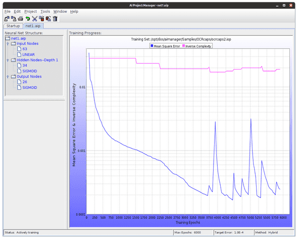 An example of training that incorporates pruning, expansion, and simulated annealing